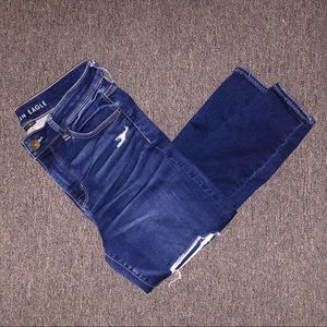 American Eagle Hi-Rise Jegging 10R